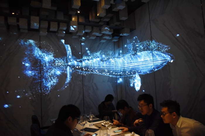 3D全息投影 Holographic Projection