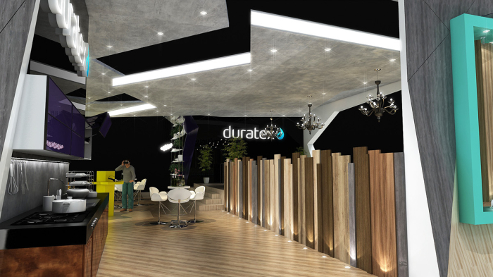 DURATEX - 中国国际进口博览会